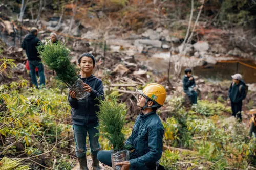 Forestry